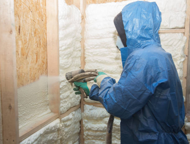 Types of Insulation We Offer in International Falls, MN